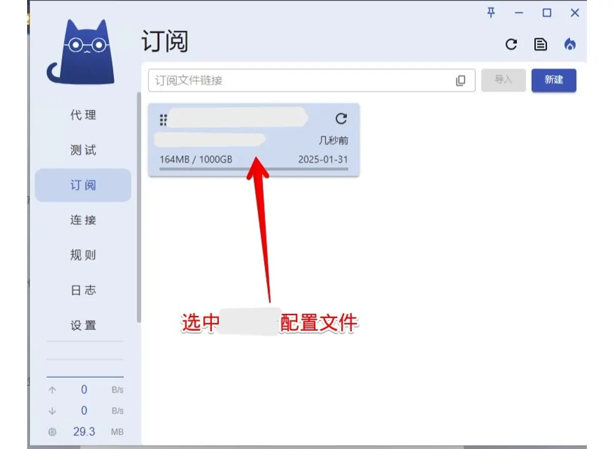 订阅页多出一张名称打码的卡片,显示 164MB / 1000GB 和 2025-01-31,红色箭头指着它