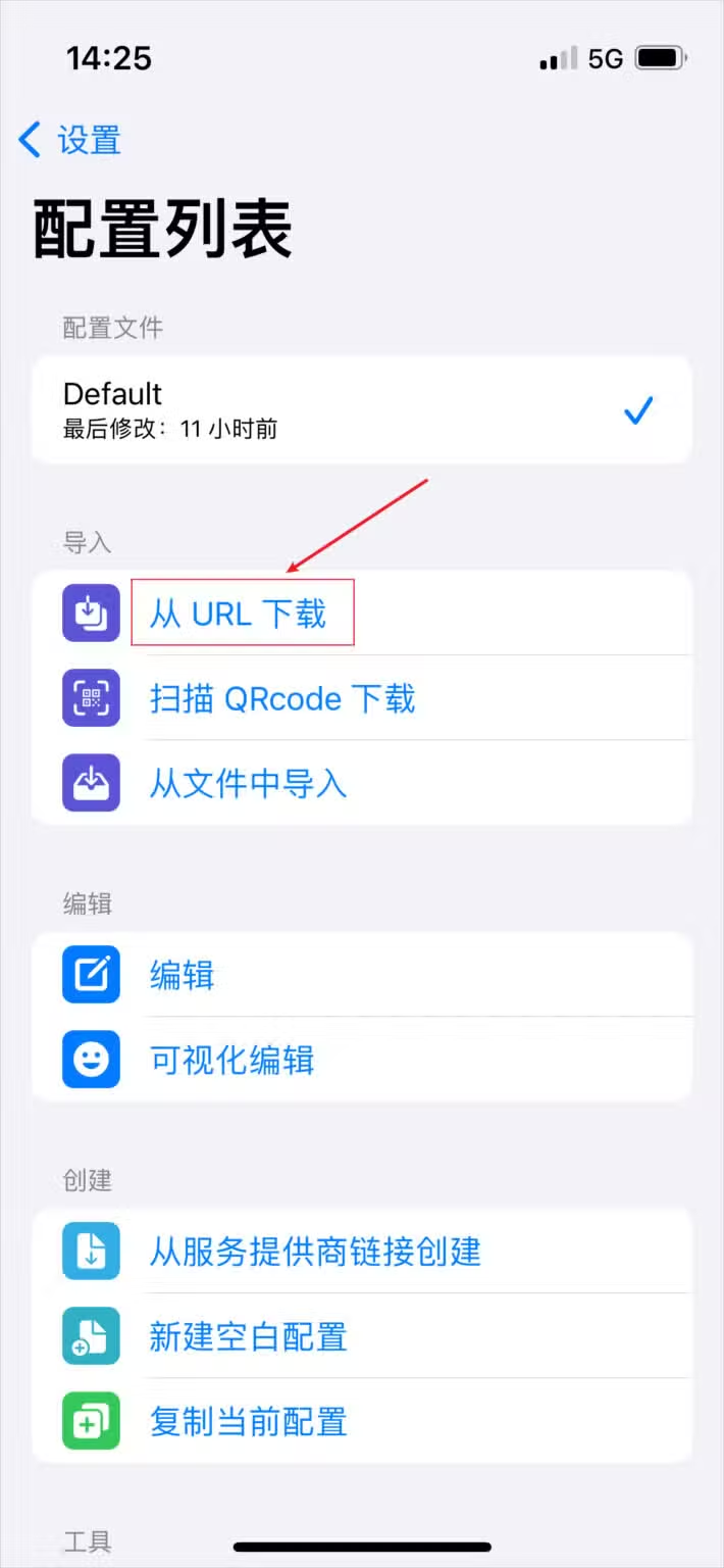 Stash 配置列表,导入组里的从 URL 下载被红框圈出,下面还有扫描 QRcode 下载和从文件中导入